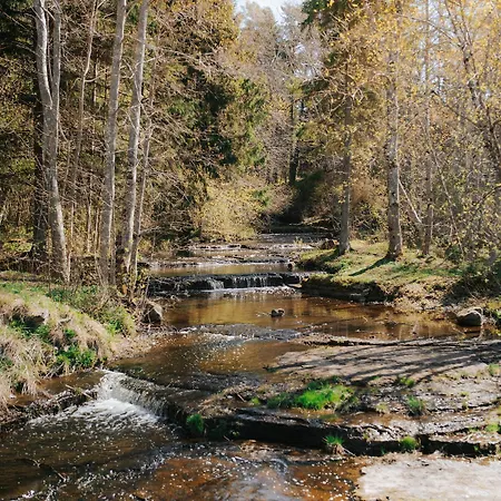 Ueleoja Pesa Kloogaranna